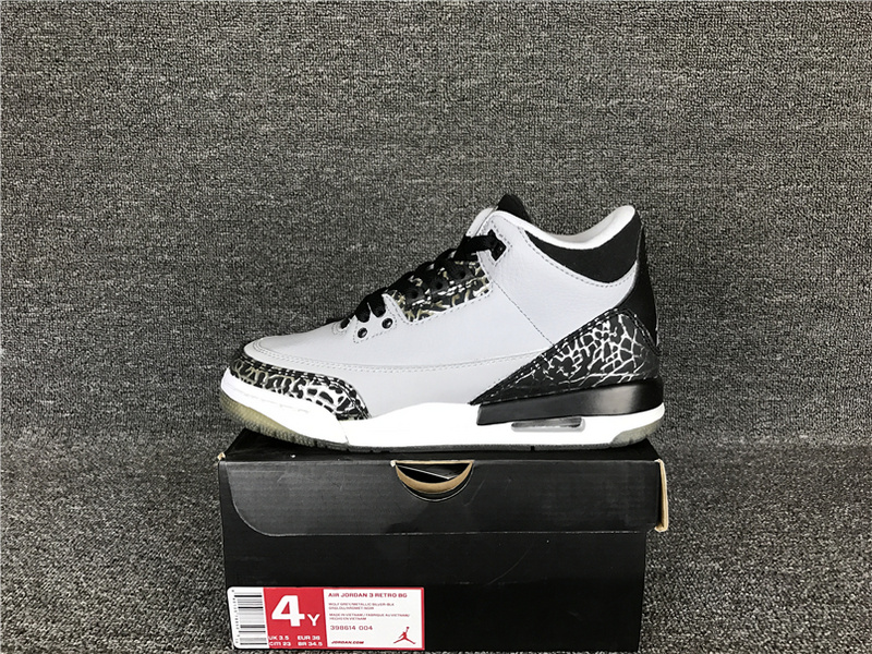 Air Jordan 3 Wolf Grey GS 398614 004